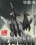 龙骑战机 后续