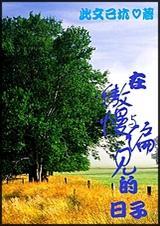 傲慢与偏见中的傲慢与偏见