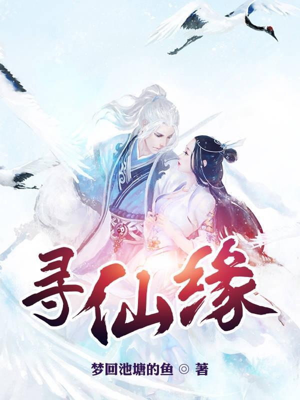 寻仙缘聚青龙塔门派战