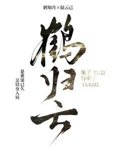 鹤归云深短剧免费观看