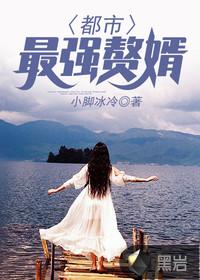 都市最强赘婿林阳秦浓墨