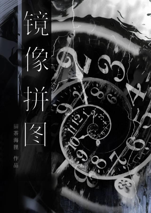 镜像拼图讲的什么